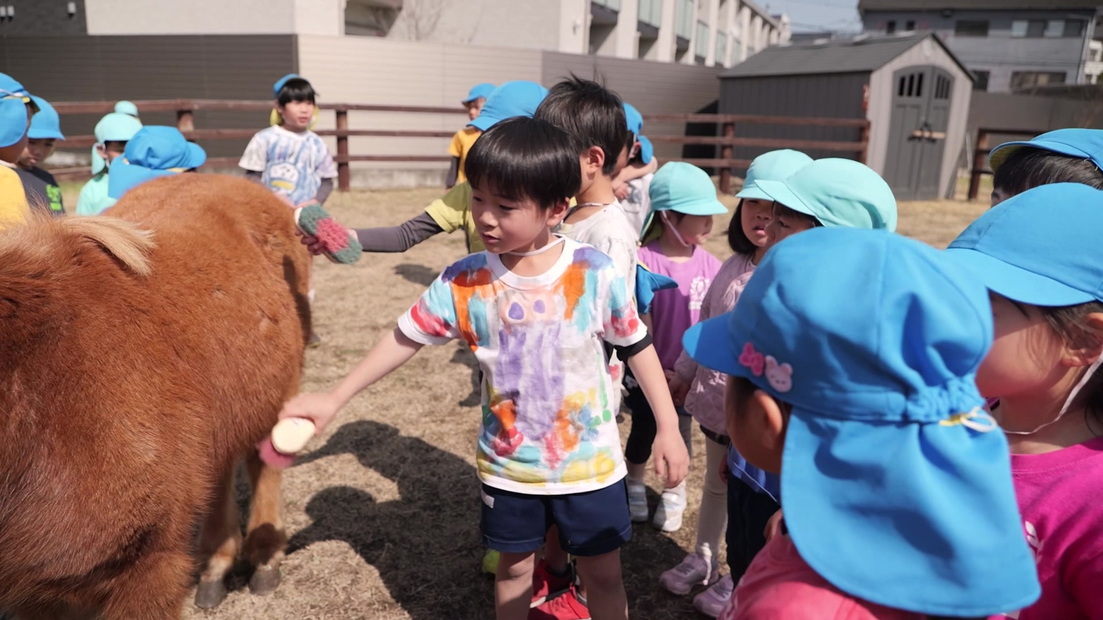 熊野幼稚園